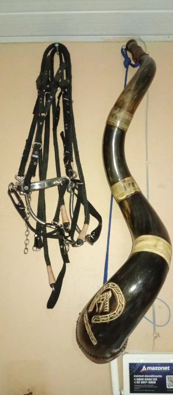 Professora 64584932033923121