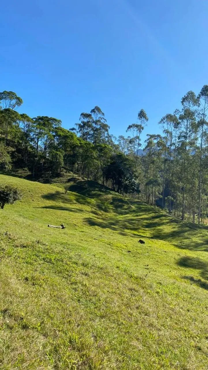 Sítio lindo em Jaraguá do sul 63 mil m2