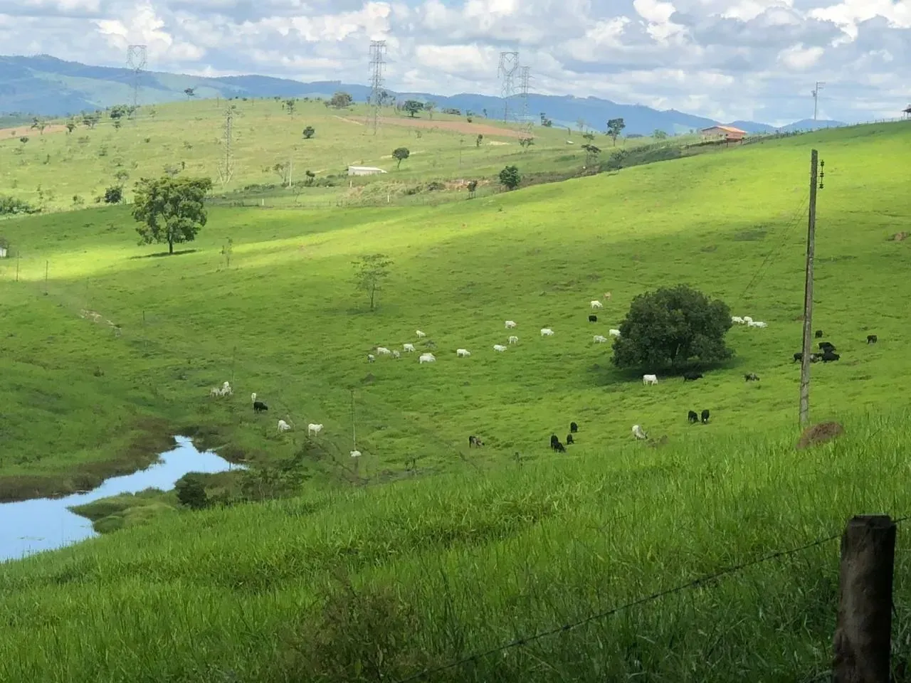 Imóvel para venda possui 1936000 m² em Centro - Canas - SP