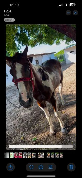 Cavalo de esteira / direita - Foto 3