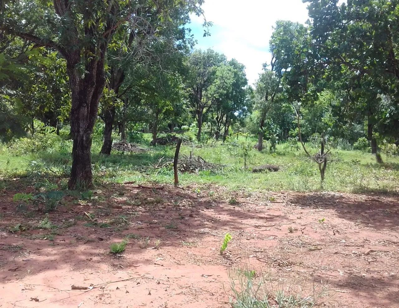 Vendo Sítio na Gameleira! - Foto 9