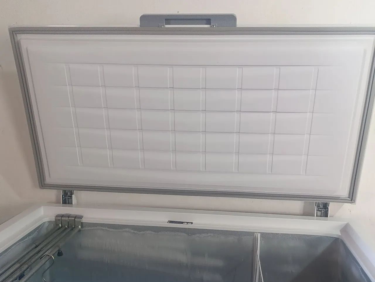 Freezer 2.800 - Foto 4