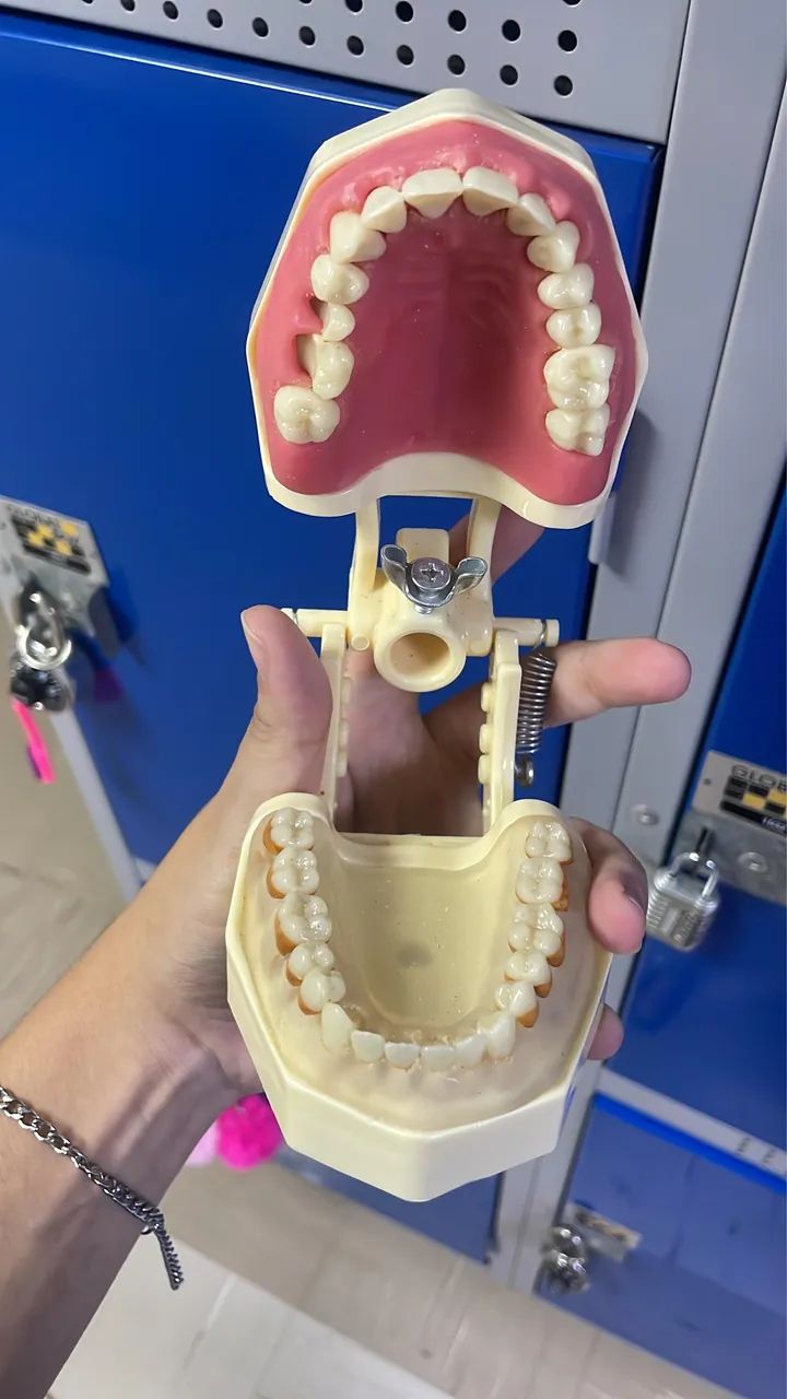 Manequim de periodontia  - Foto 2