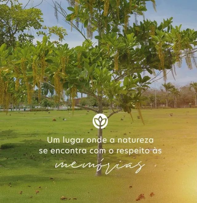 JAZIGO MEMORIAL PARQUE MACEIÓ