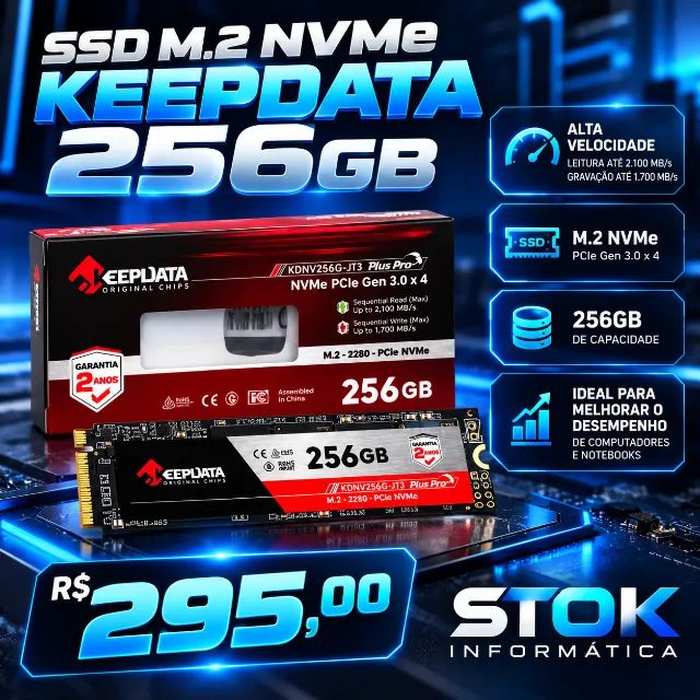  SSD M.2 NVMe KEEPADATA 256GB