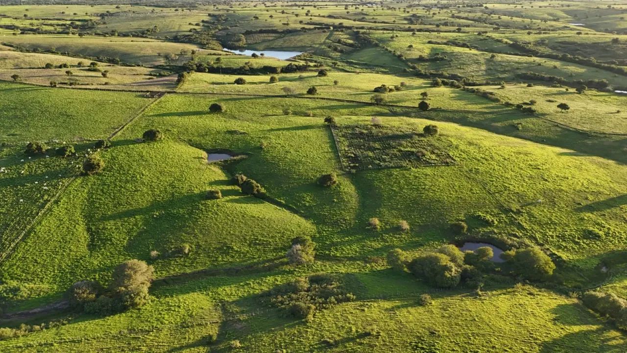 fazenda com 120 hectares na região de Monte Alegre - Foto 4