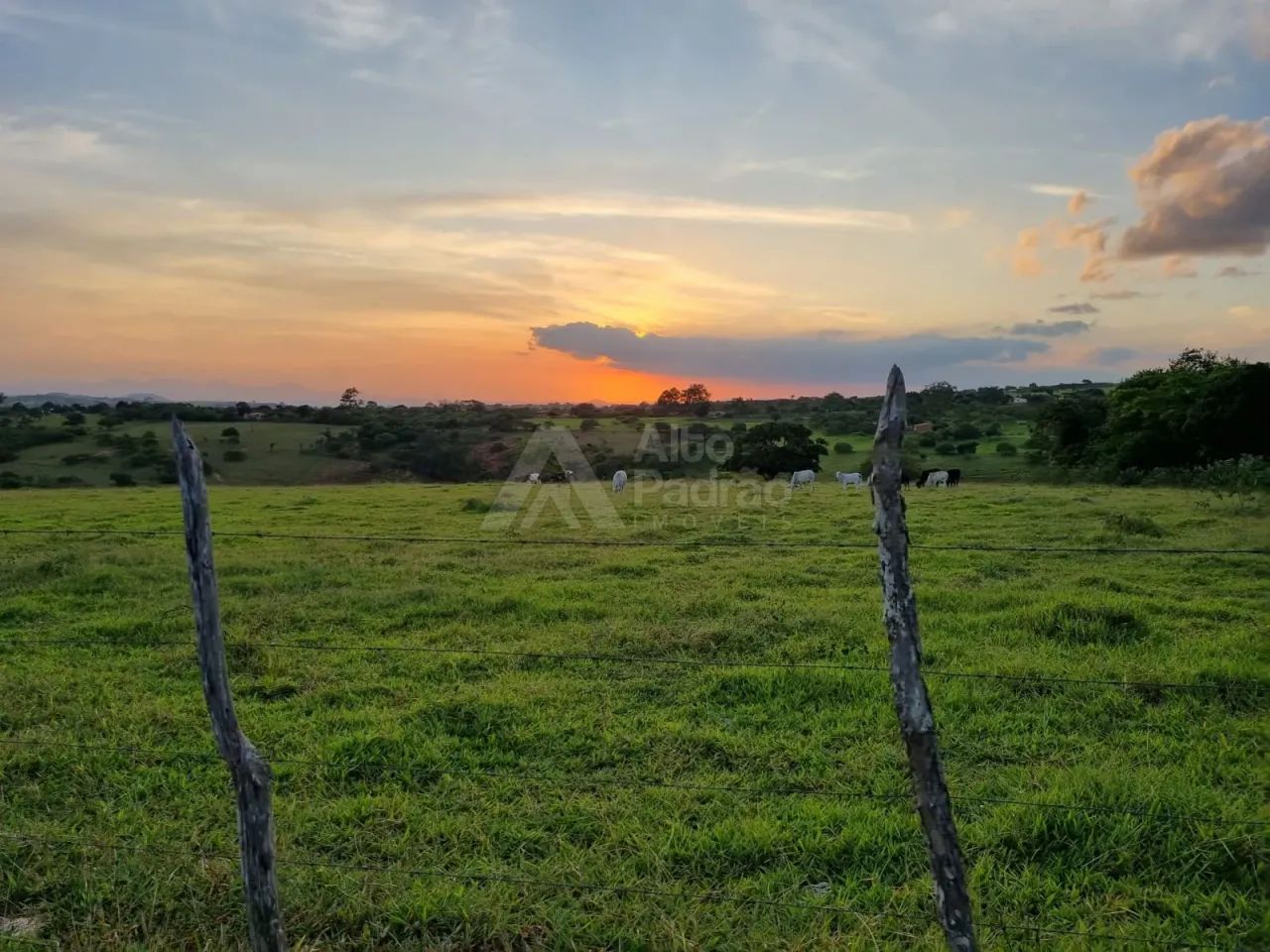 14 HECTARES EM CARUARU - PE