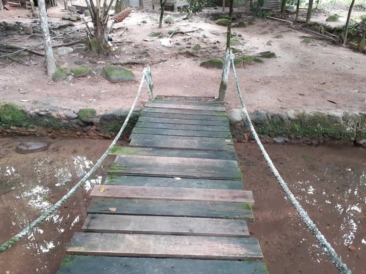 Sítio em Ariró Angra dos Reis  - Foto 3
