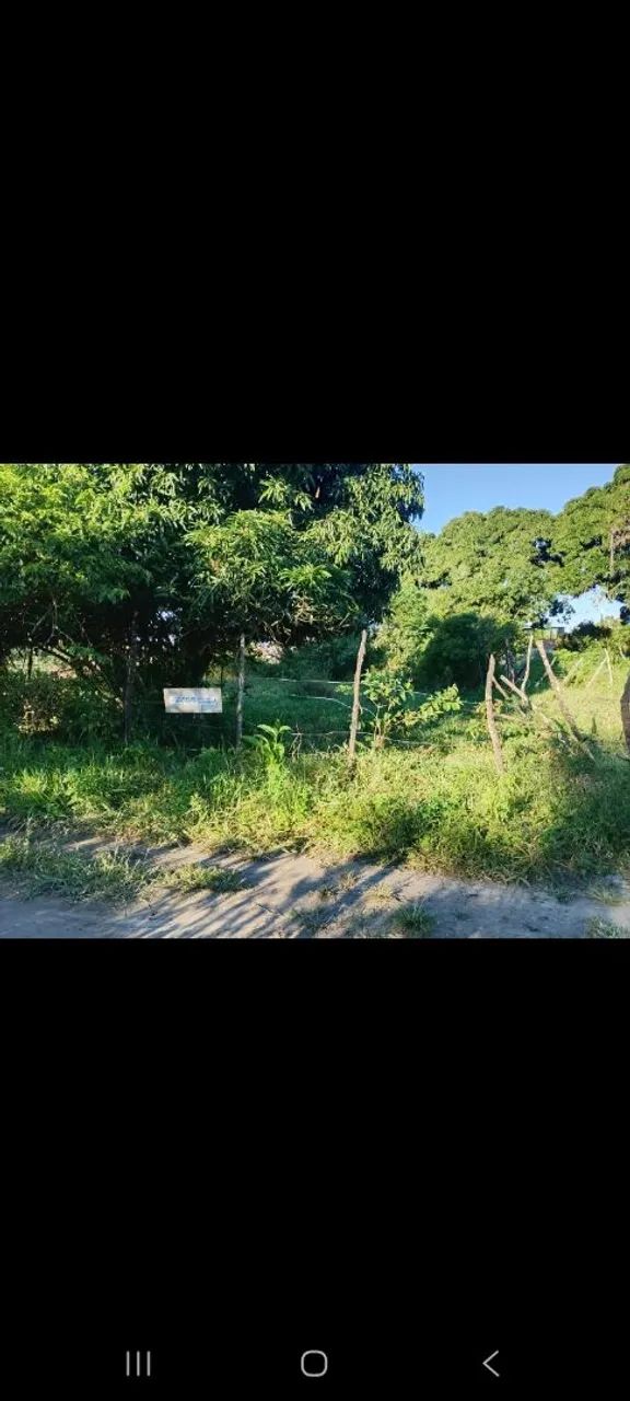 Terreno - Foto 3