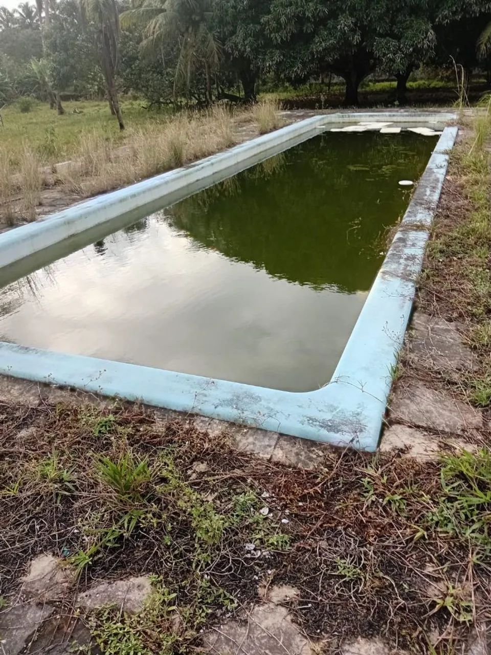 Piscina  - Foto 3