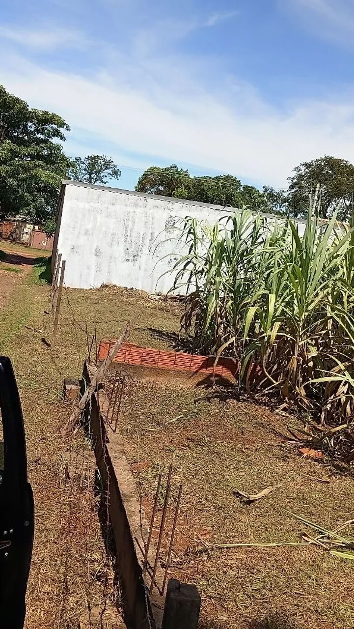 Jardinagem  - Foto 2