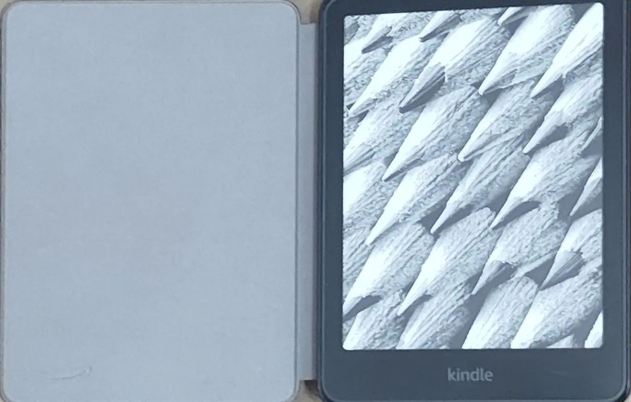  UM KINDLE PARA VOCE.