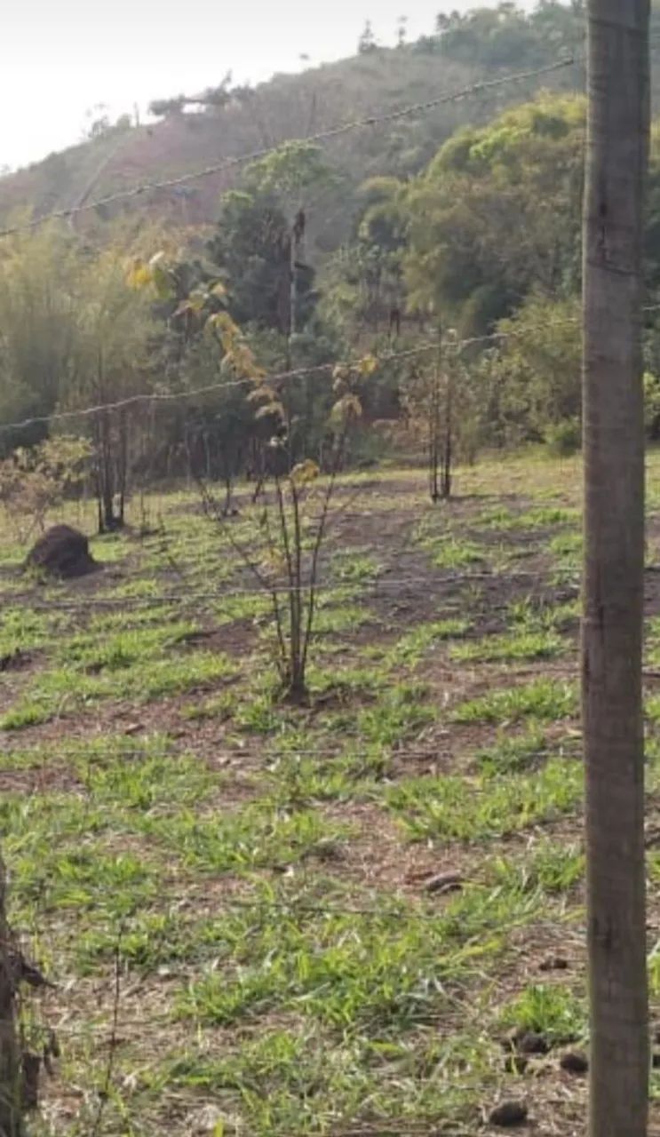 Vendo granja em Dias Tavares  - Foto 3