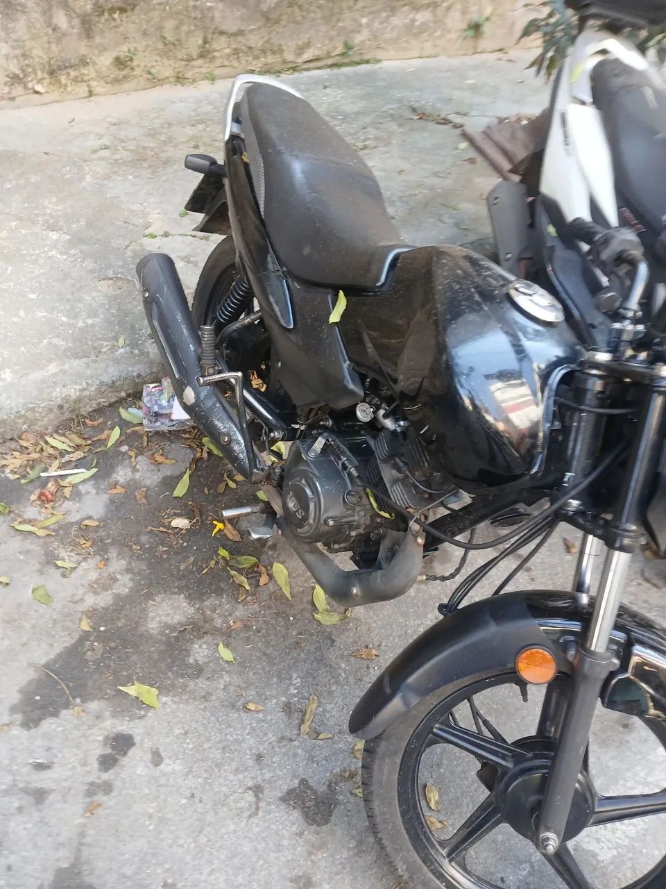 Muttu. Boa. Só funcionando em dias
