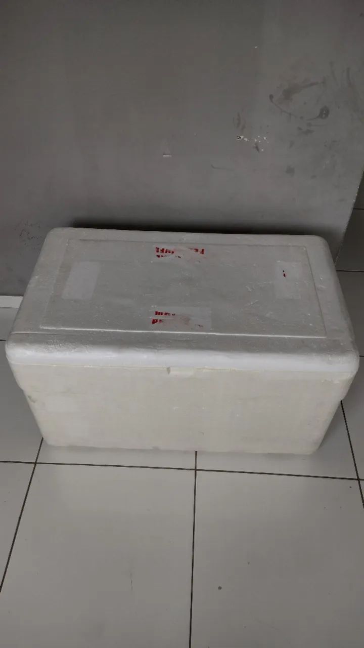 Caixa de isopor - Foto 4