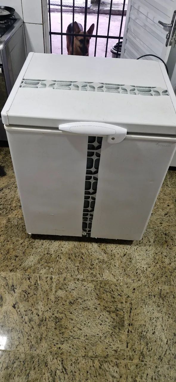 Freezer horizontal 1 porta - Foto 4