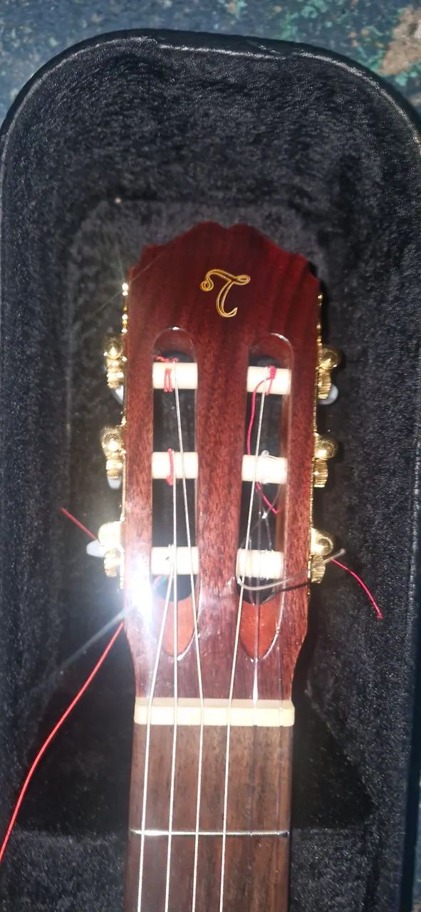 Takamine - Foto 4