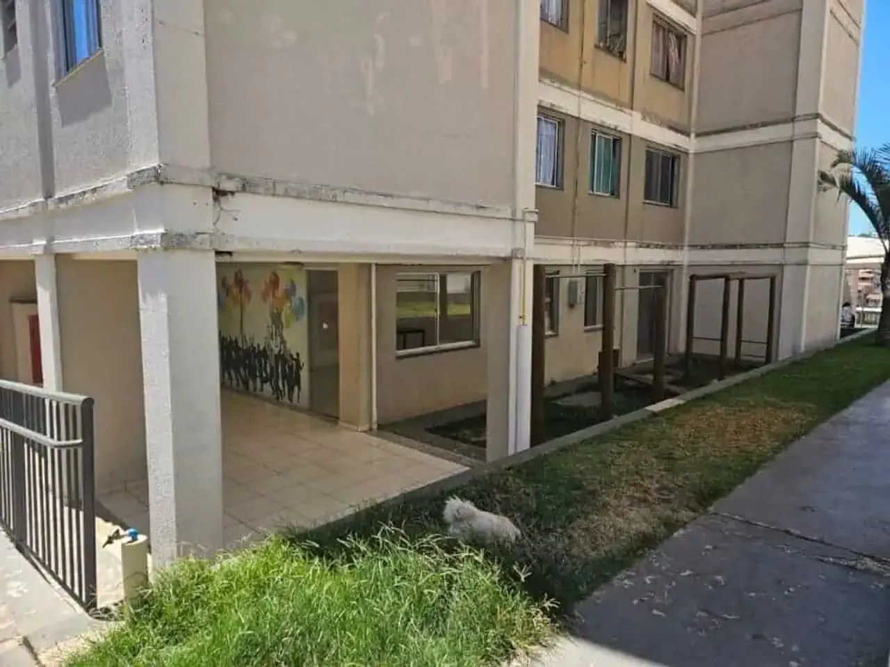 Apartamento - Foto 3