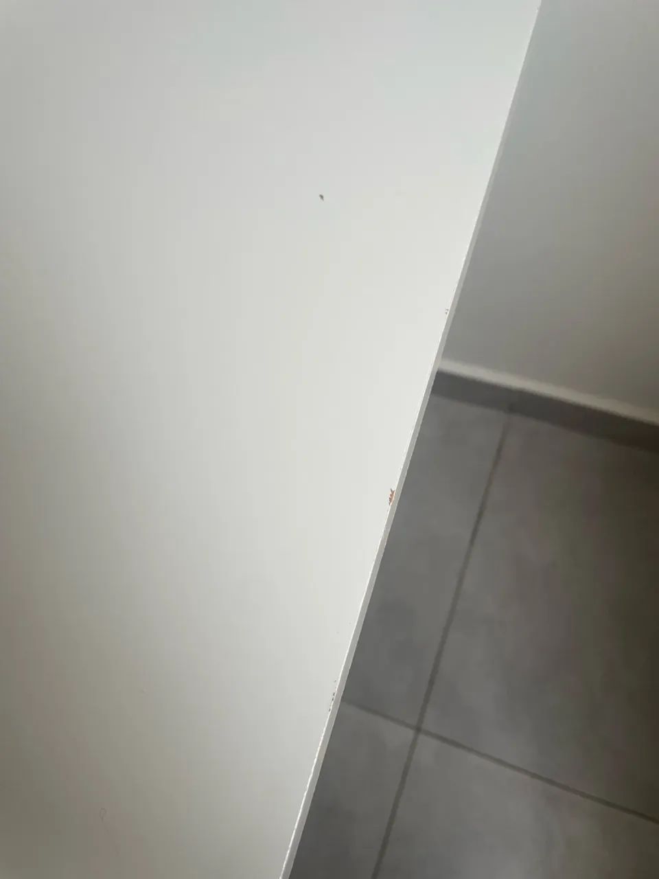 Vendo mesa de jantar  - Foto 3