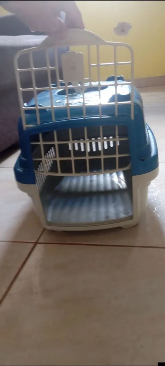 CAIXA PARA PET  - Foto 2