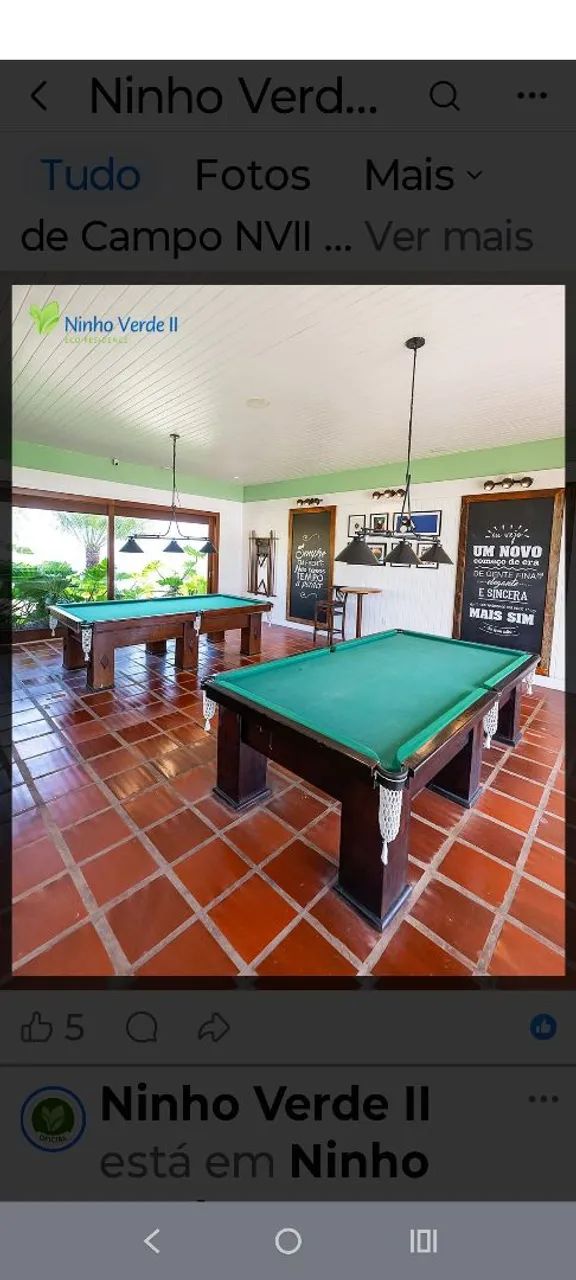 Carnaval no Ninho verde 2 - Foto 4