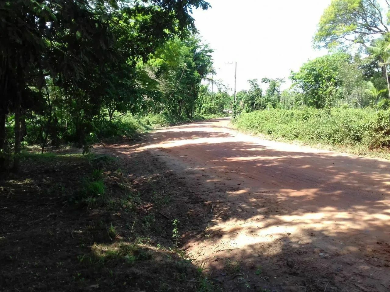 Lotes em Cotijuba  - Foto 3