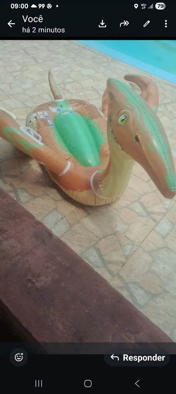 Boia dinossauros 