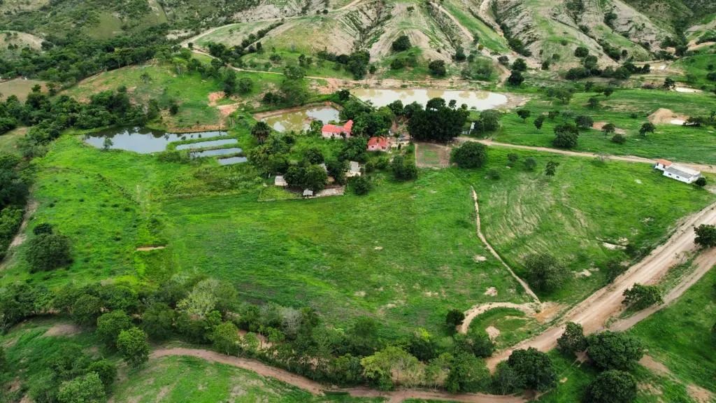 Fazenda de 32 alqueires em Padre Bernardo 