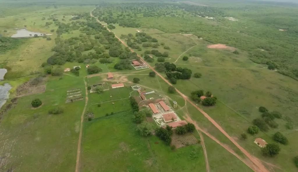 Fazenda | Venda | 713 Hectares