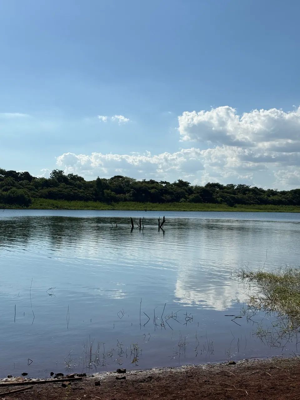 Vende-Se Uma Chácara em 1º De Maio-Pr C/ Acesso ao Rio R$70mil ou Entrada Mais Parcelas  - Foto 8