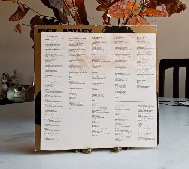 lp vinil / rick astley / free / 1991 / com encarte - Foto 4