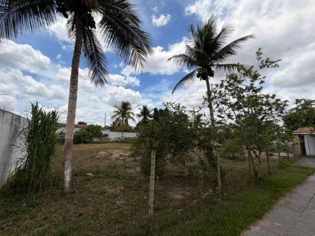 Vendo Chácara em Areia Branca  - Foto 3