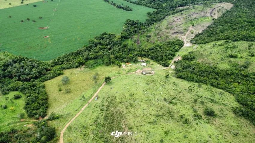 fazenda em Silvania GO com 140 hectares  - Foto 4