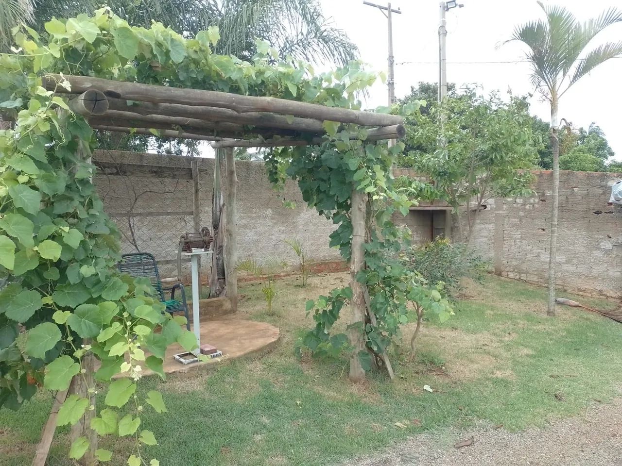 Chacara - Foto 4