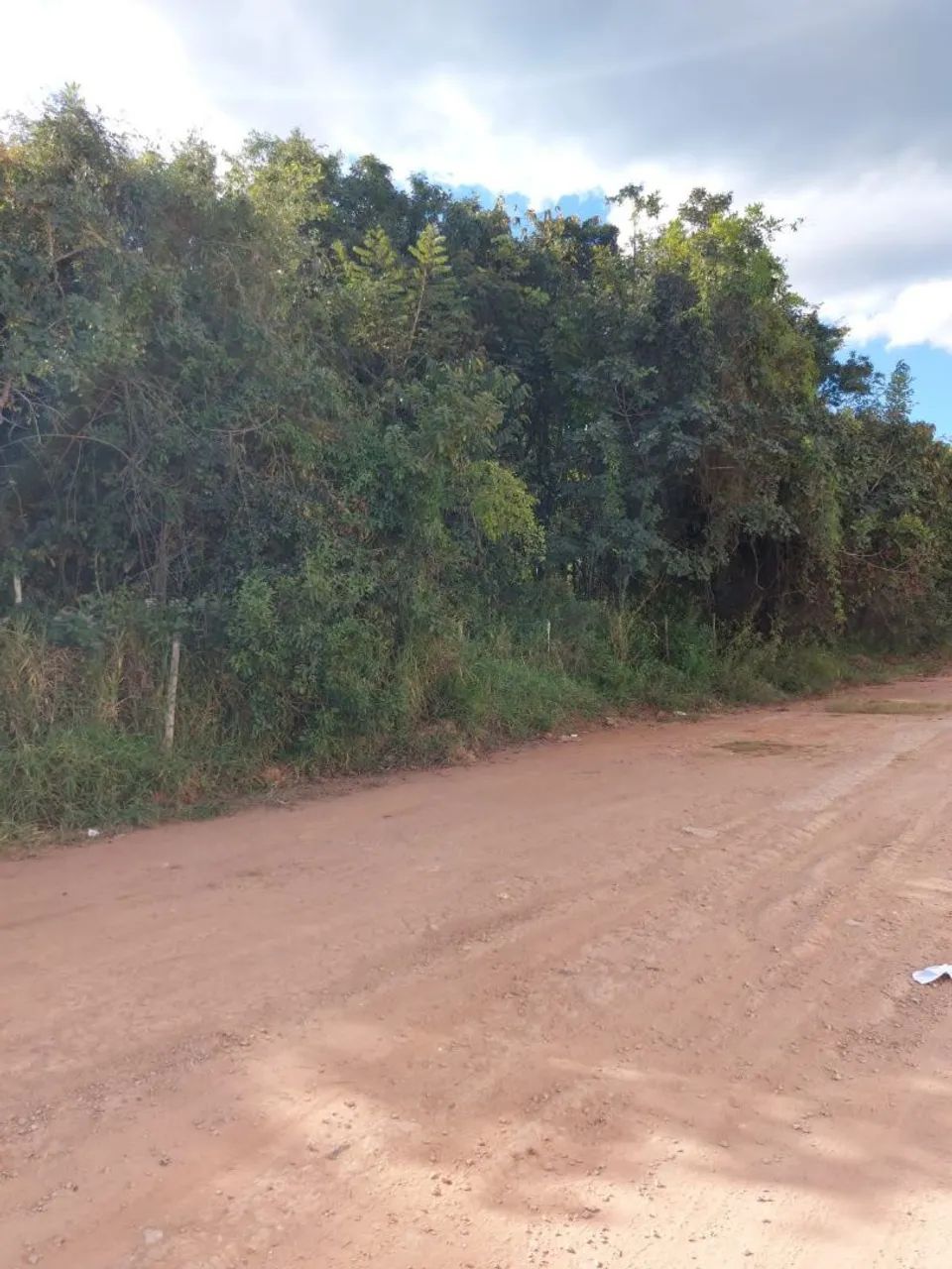 Lote  - Foto 3