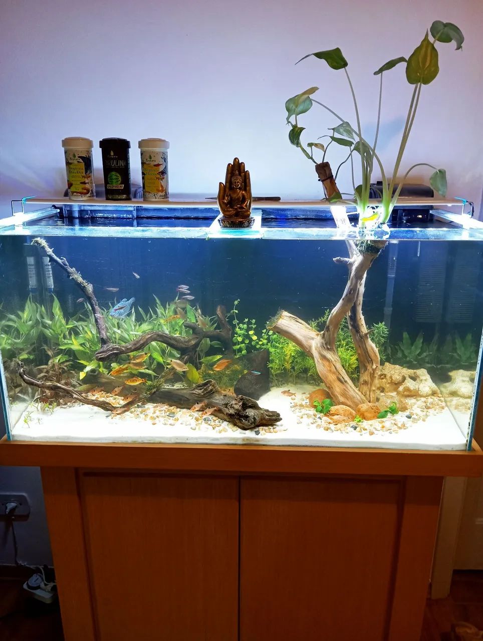 AQUÁRIO 200L COMPLETO 