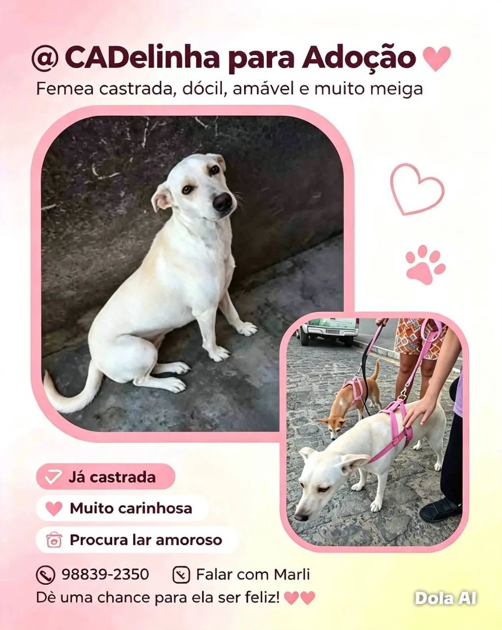 Cadelinha castrada