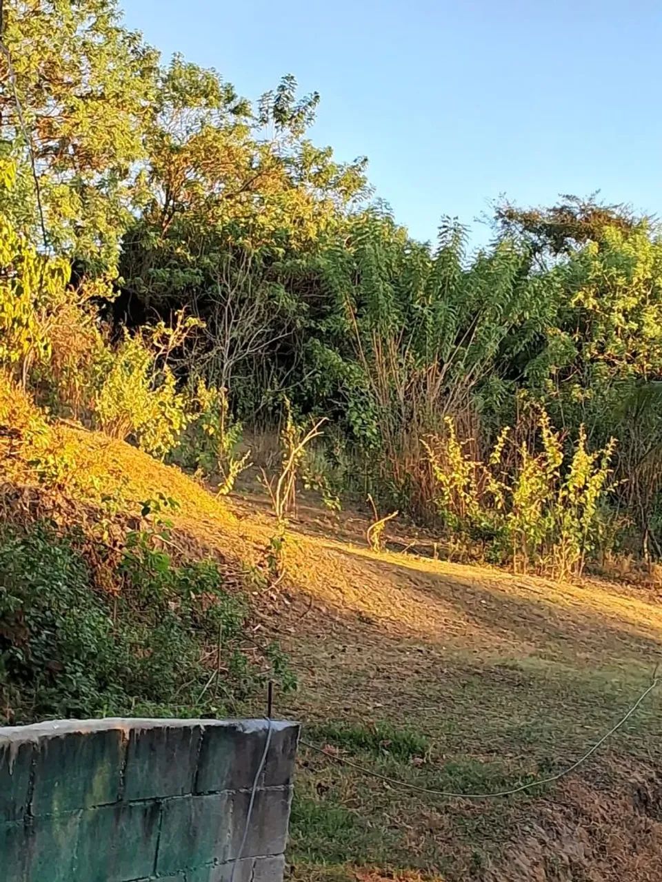 Sítio enorme 200m da presidente dutra - Foto 4
