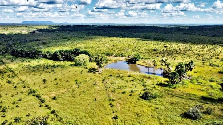 Fazenda de Oportunidade em Ponte Alta - TO | 100 Alqueires - Foto 2