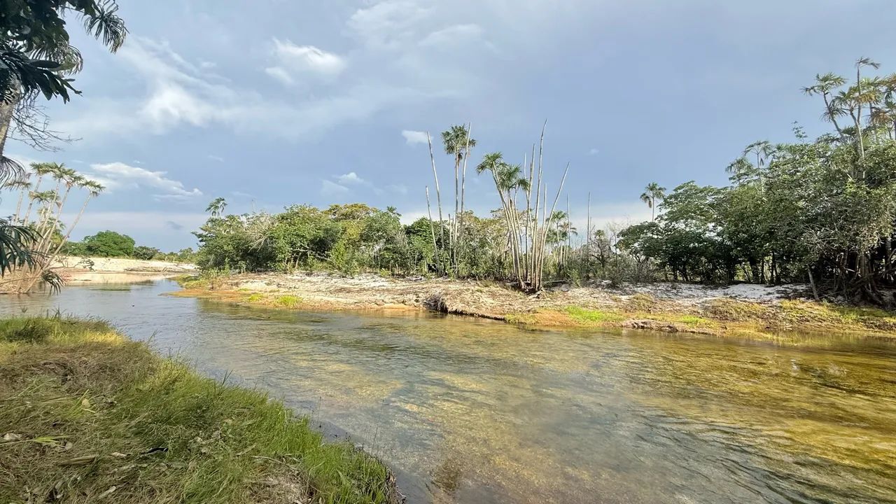 SÍTIO À VENDA EM ALTO ALEGRE - RR - Foto 4
