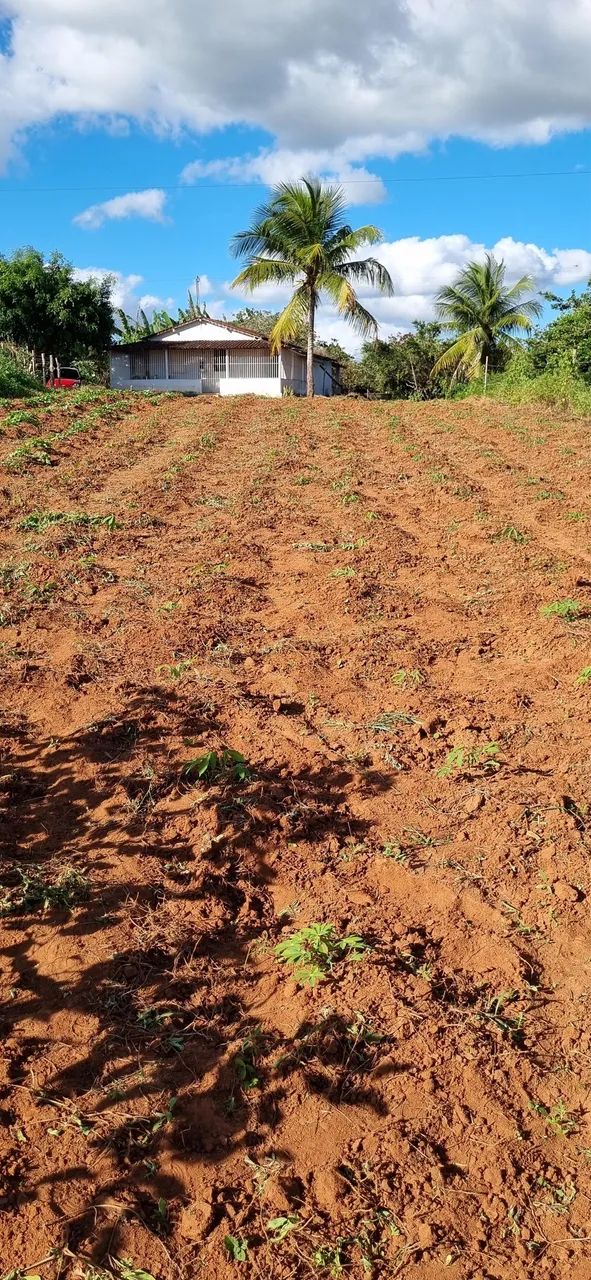 Terreno em Feira Nova-PE com 16 X 180m - Foto 2