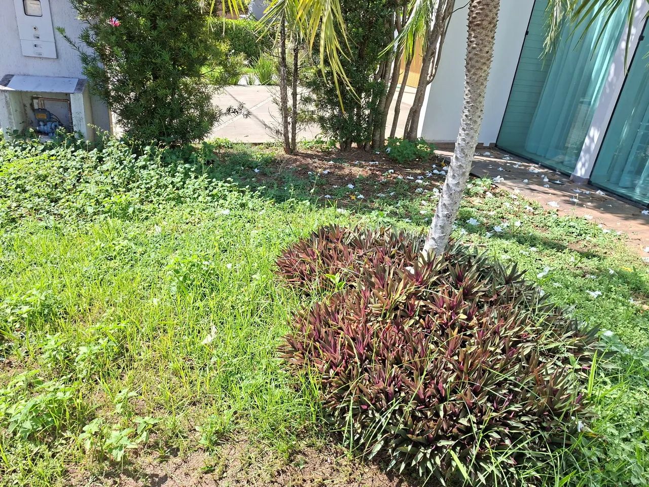 Jardinagens e Manutenções em geral. - Foto 2