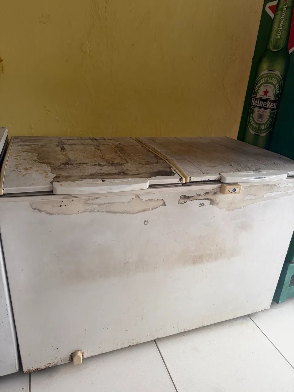 Freezer vertical