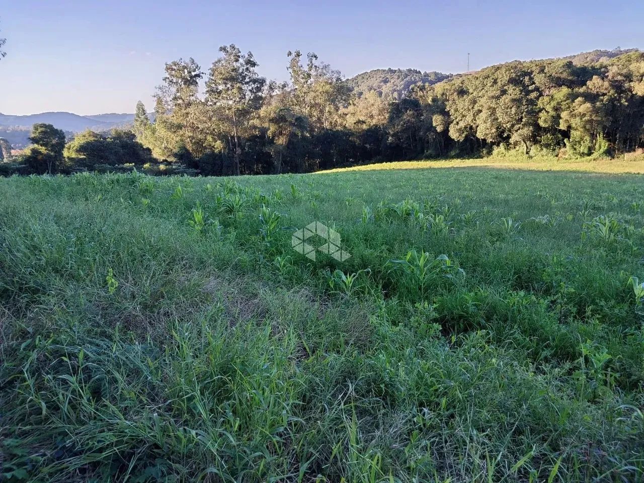 Área de terra de 02 hás agricultável - Foto 3