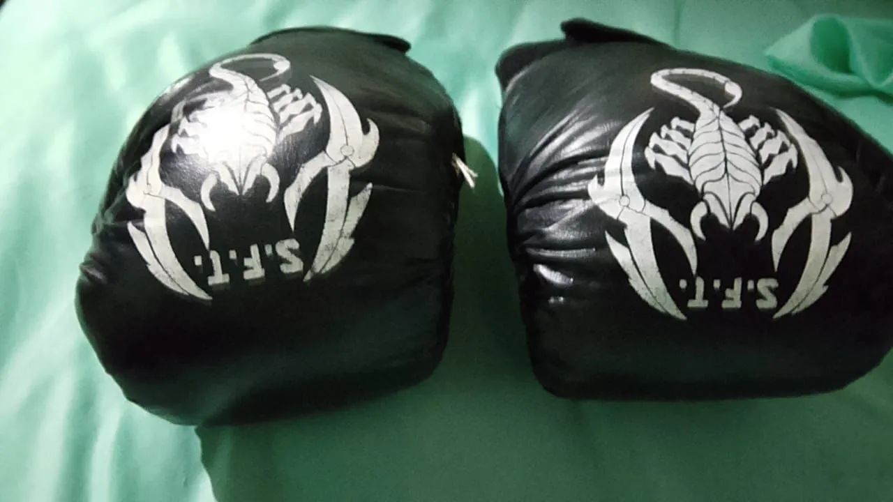 Luva de Boxe SFT Preta | Scorpion 