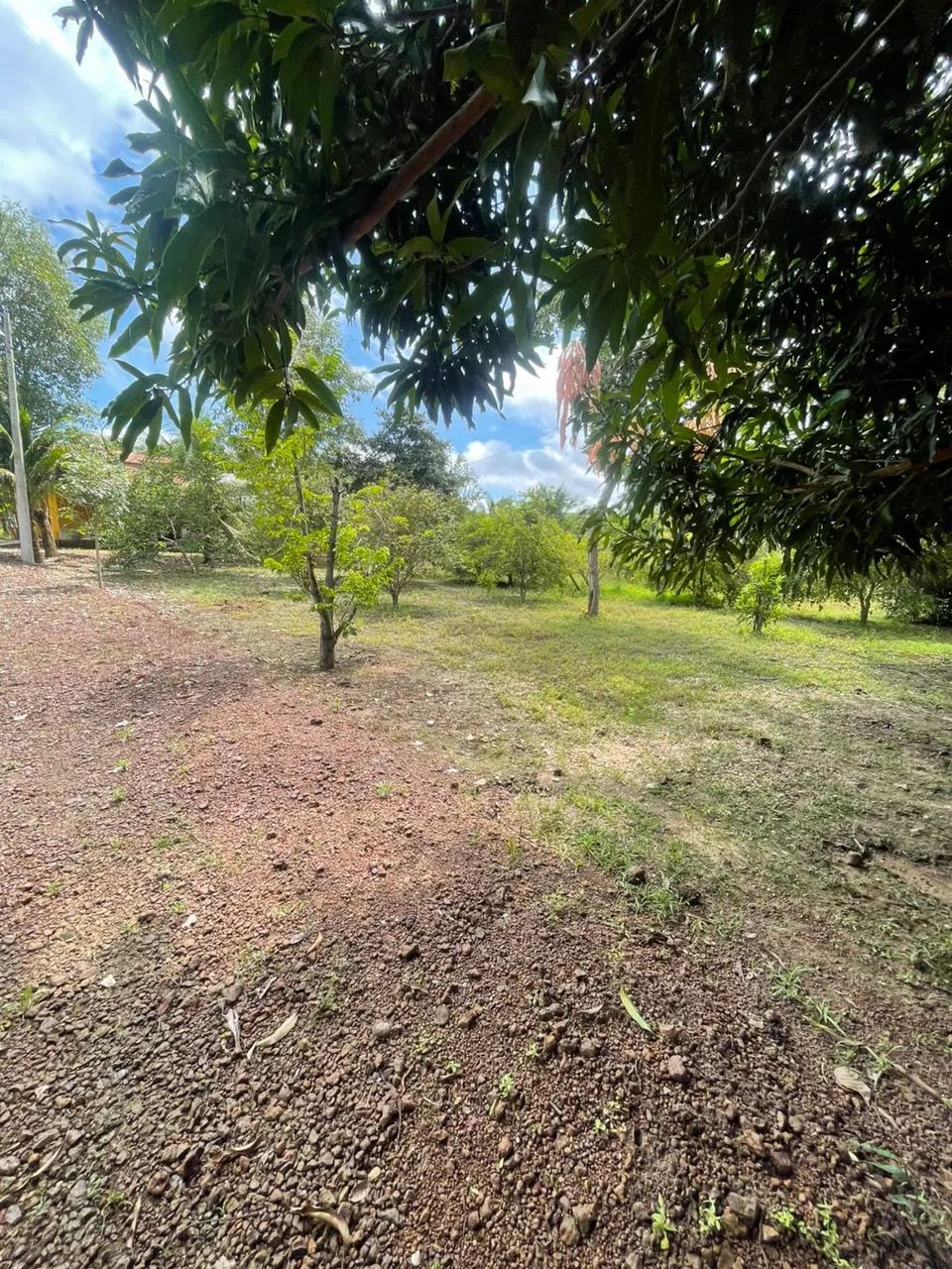 Chácara a venda  - Foto 4