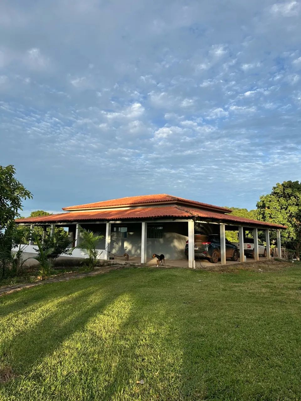 Fazenda em Barrolandia  - Foto 5