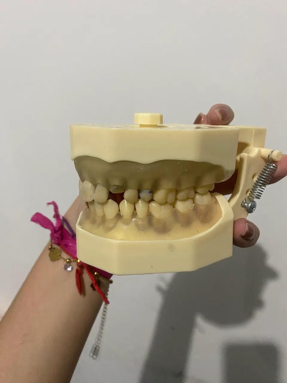 Manequim Dentistica e Periodontia- Orais  - Foto 3