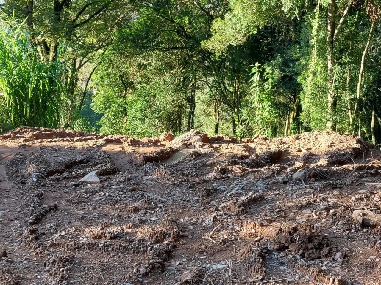 Área de terra de 02 hás agricultável - Foto 10