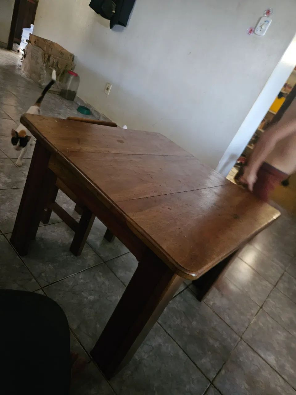 Mesa Infantil  macacauba